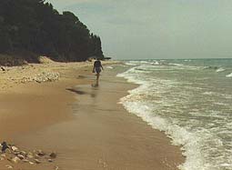 Walking the Beach